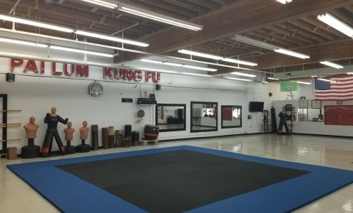 Pai Lum White Dragon Martial Arts