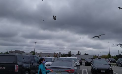 20/10 Vision Associates