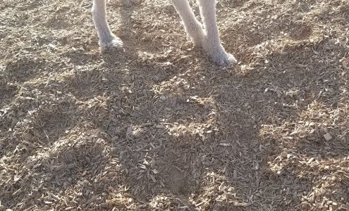 Pascual LeDoux Academy