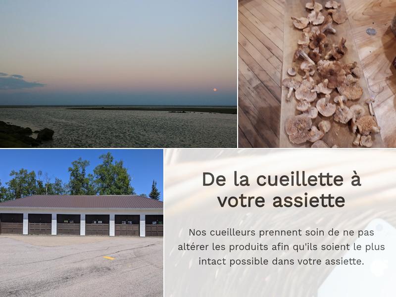 Les saveurs boréales