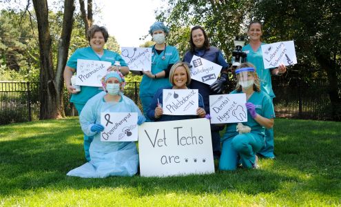 American Animal Hospital Association