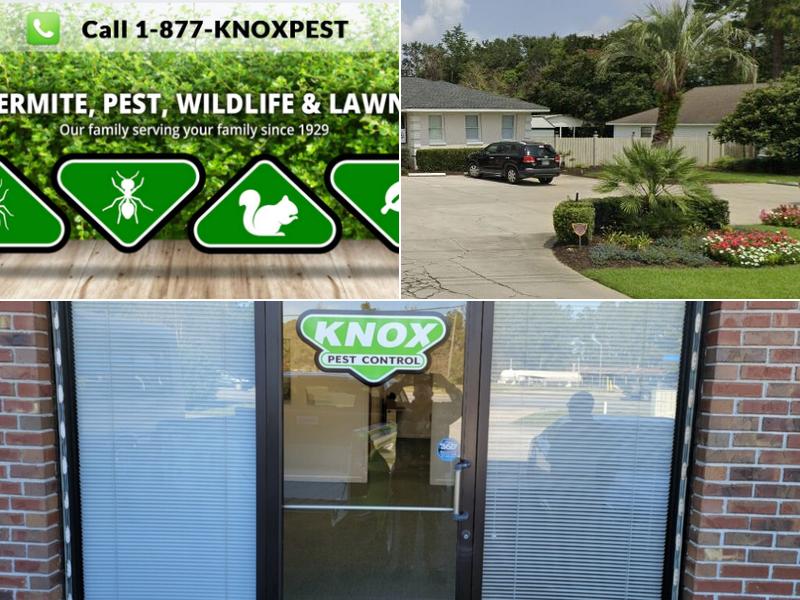 Knox Pest Control