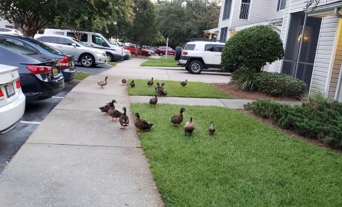 Sweetwater Apartments