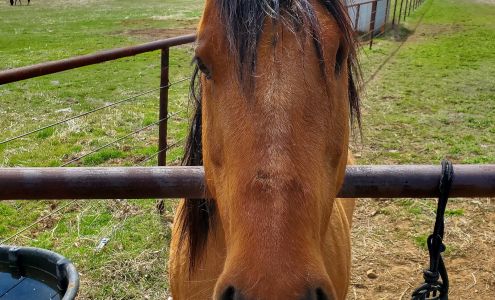 Deer Valley Ranch 6599 Co Rd 29C, Bellvue Colorado 80512