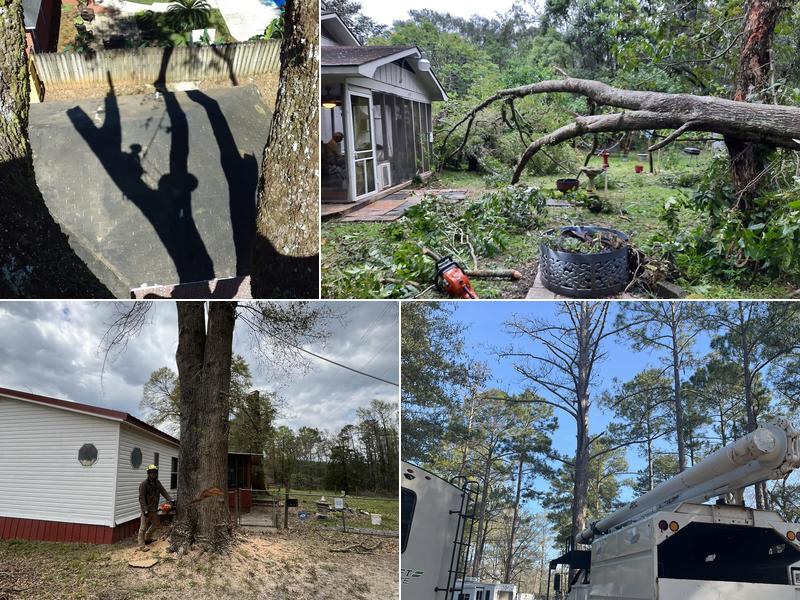 Eufaula Tree Service LLC