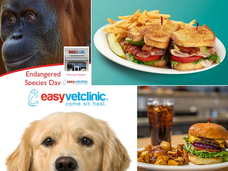 easyvet Veterinarian Madison