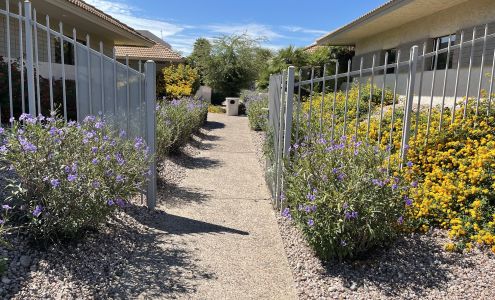 Denova Collaborative Health, Moon Valley