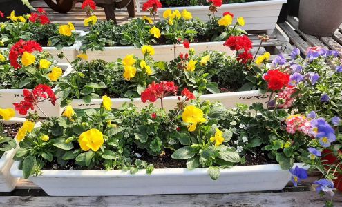 Serres Chouinard Saint-Arsene