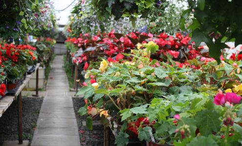 Embellissements Rivière-du-Loup