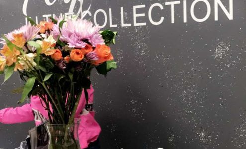 The Carissa Collection