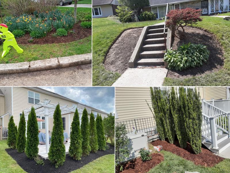 Maldonado Landscape Services