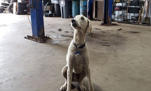 Cardans Regionaux Enr Alma