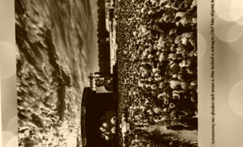 Here We Grow Child Care