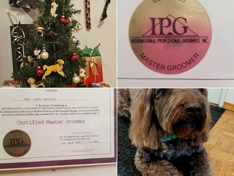 Dawson's Designer Dogs