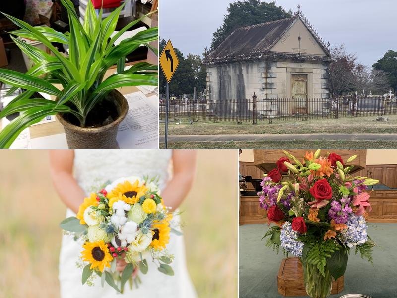 A Beautiful Creation