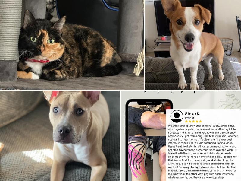 Next Level Physical Therapy