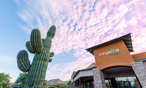 Tangerine Pet Clinic