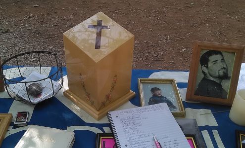 Pearson's Tree Services 15368 Lodestar Way, Pioneer California 95666