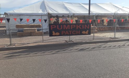 Commons At Palm Creek