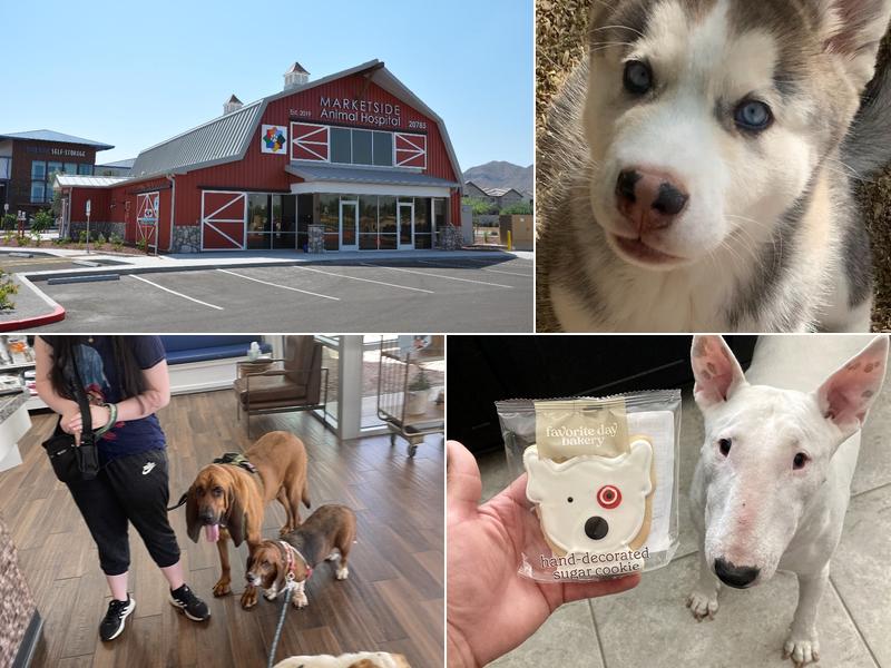 Marketside Animal Hospital at Verrado