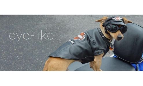 Avant Garde Eye Care