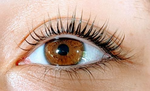 Bella BeautE Lashes & Esthetics