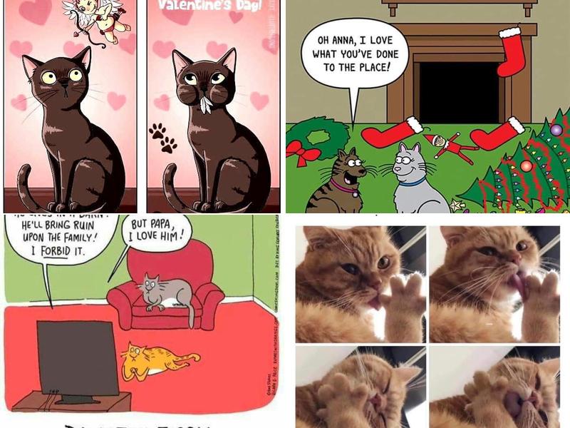 Wags and Whiskers Pet Services LLC