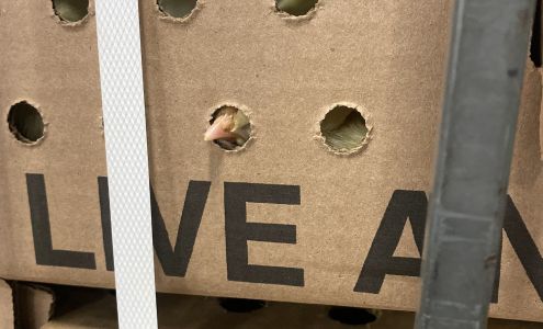 Opa Locka Post Office