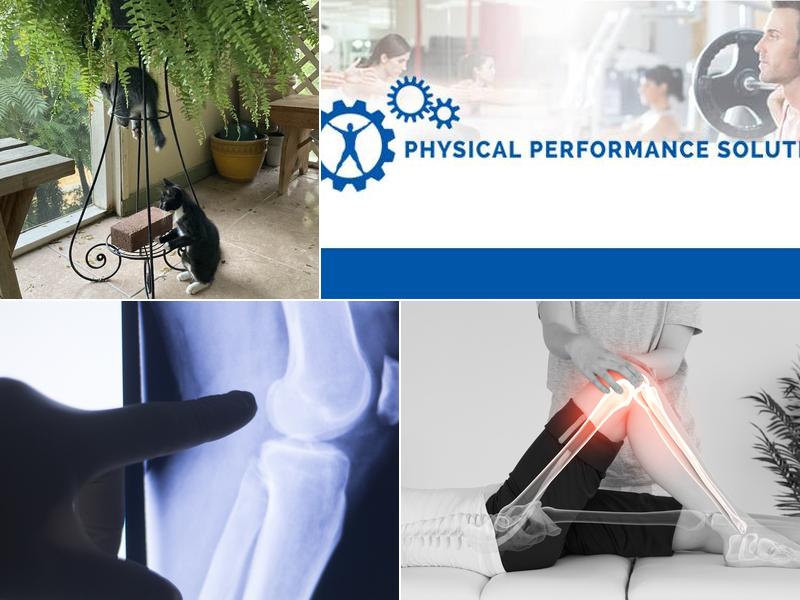 Physical Performance Solutions