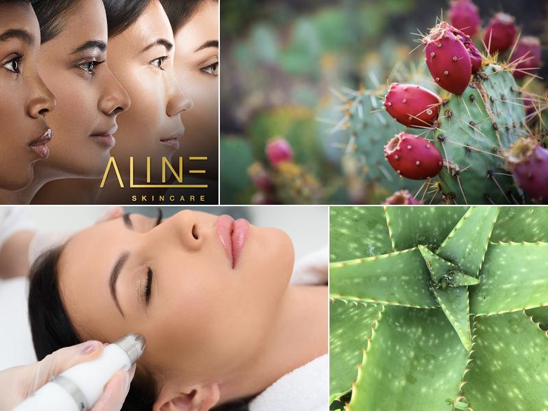 ALINE SKINCARE