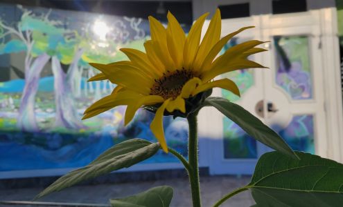 Hobby Shop Saint Kitts