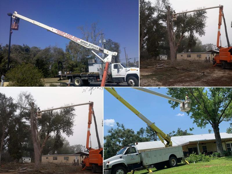 James & Son Tree and Crane Service