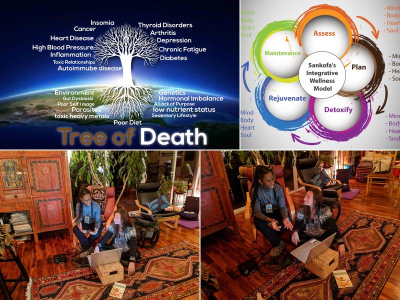 Sankofa Healing and Enrichment, Inc