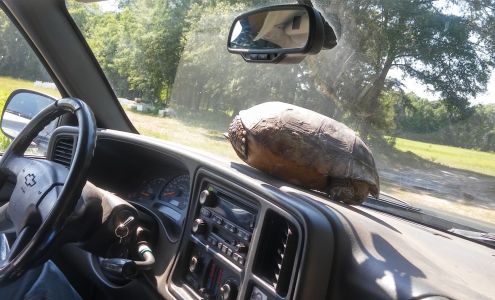 Staley Construction Group