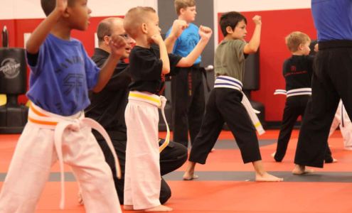 Sandoval Freestyle Karate