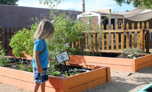 Natural Choice Academy