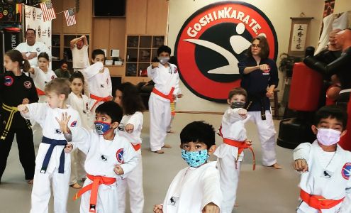 Goshin Karate & Judo Academy