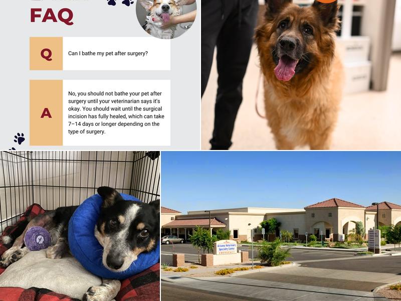 Southwest Veterinary Surgical Service, PC