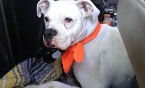 Sherven's Grain & Livestock