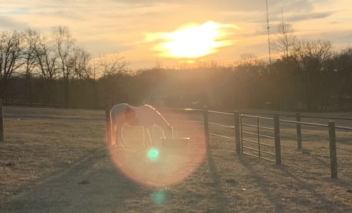 Zuriel Stables @ Bethlehem Rd. 9288 N Spring Valley Rd, Gravette Arkansas 72736