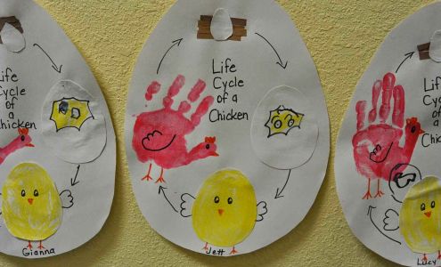 Preschool Extraordinaire Greenwood