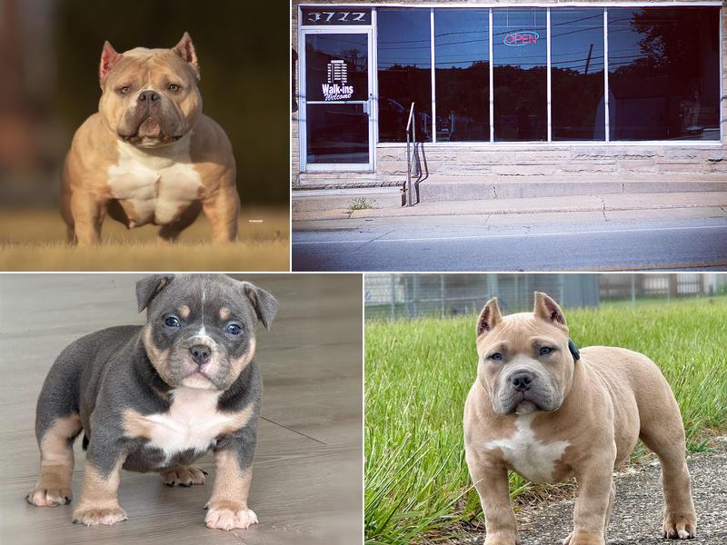 Precise kutz barbershop