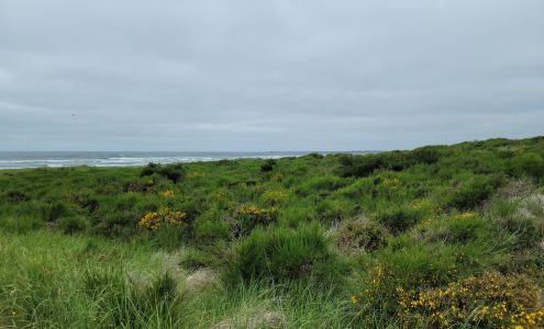 Westport Light State Park Westport