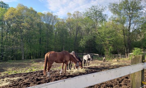 Autumn View Equestrian Center 2 Osborne Ln, Woodbridge Connecticut 06525