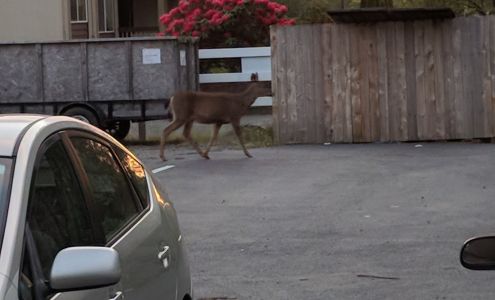 Heather Meadows Apartments