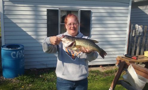 Coffeen Lake State Fish & Wild Coffeen