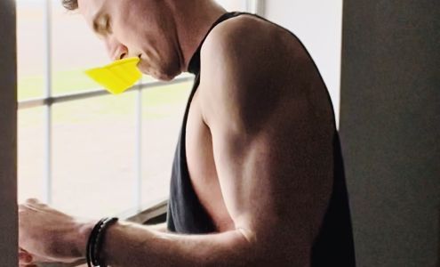 No Squint Tint, LLC 624 S Madison St, Lebanon Illinois 62254