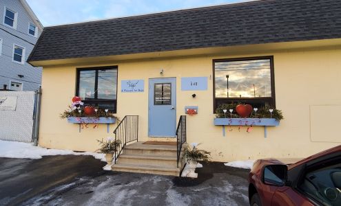 Wags A Playcare For Dogs