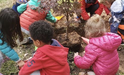 Quaker Lane Cooperative Nursery School