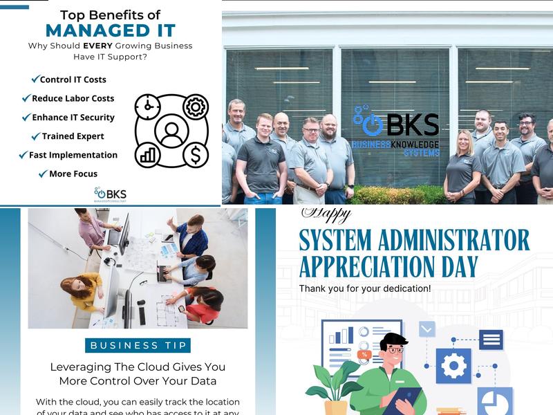 Business Knowledge Systems